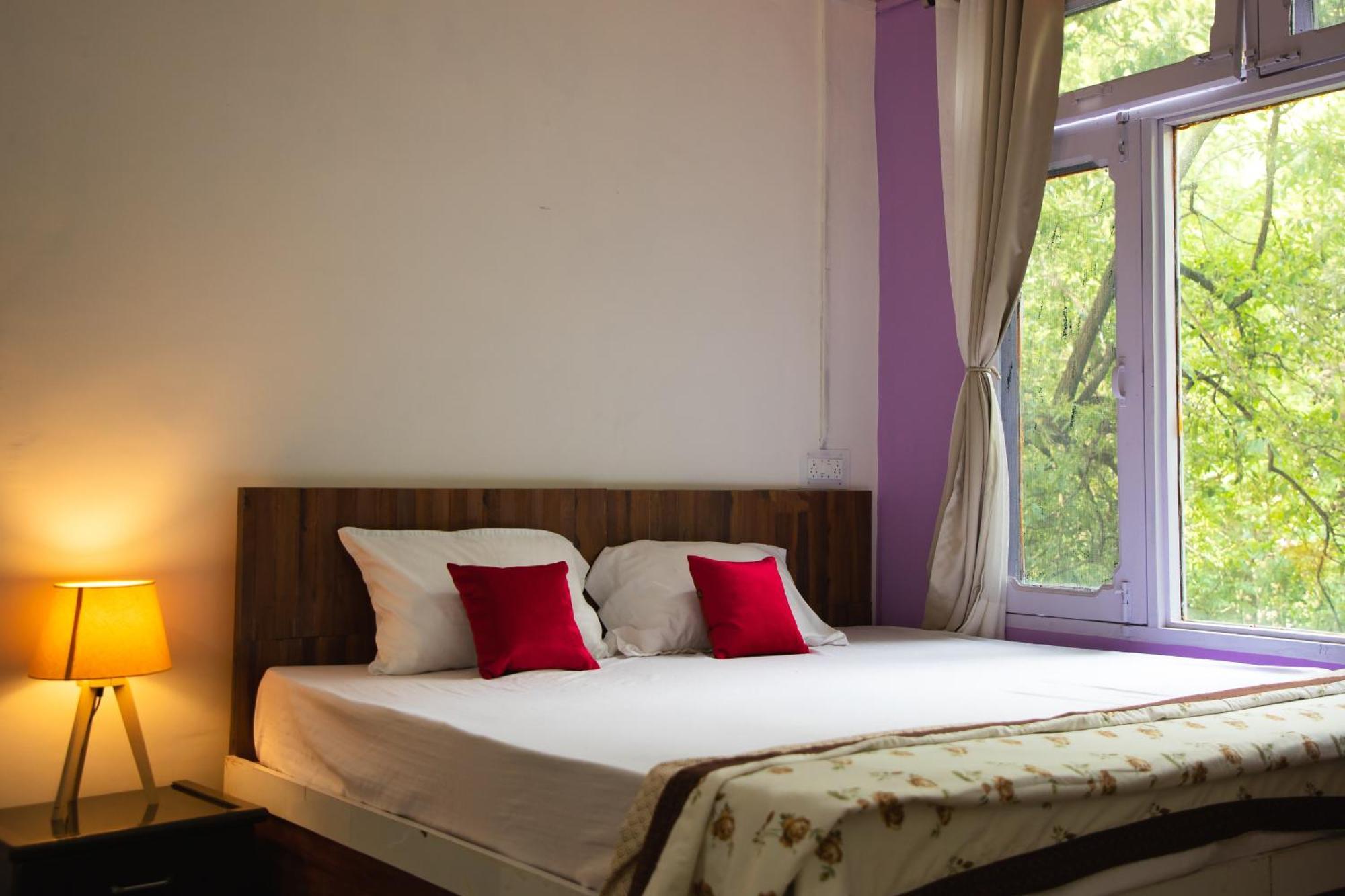 Mohija Homestay Kandaghat Exterior photo